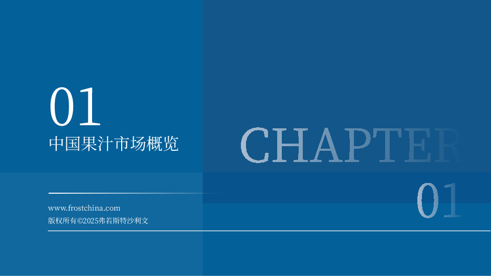 2024年中国果汁市场洞察与实践白皮书